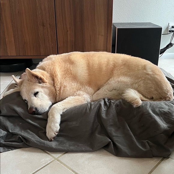 Meet your Posher, Zoë - Picture 7 of 10